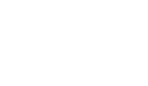 TimTrans_logo_allwhite_web_optimized